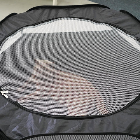 Cat Tunnel With Hair Supplies Cat Removable Foldable Multifunctional